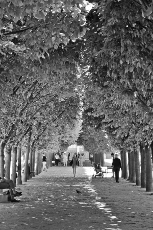 Arbre dalignement